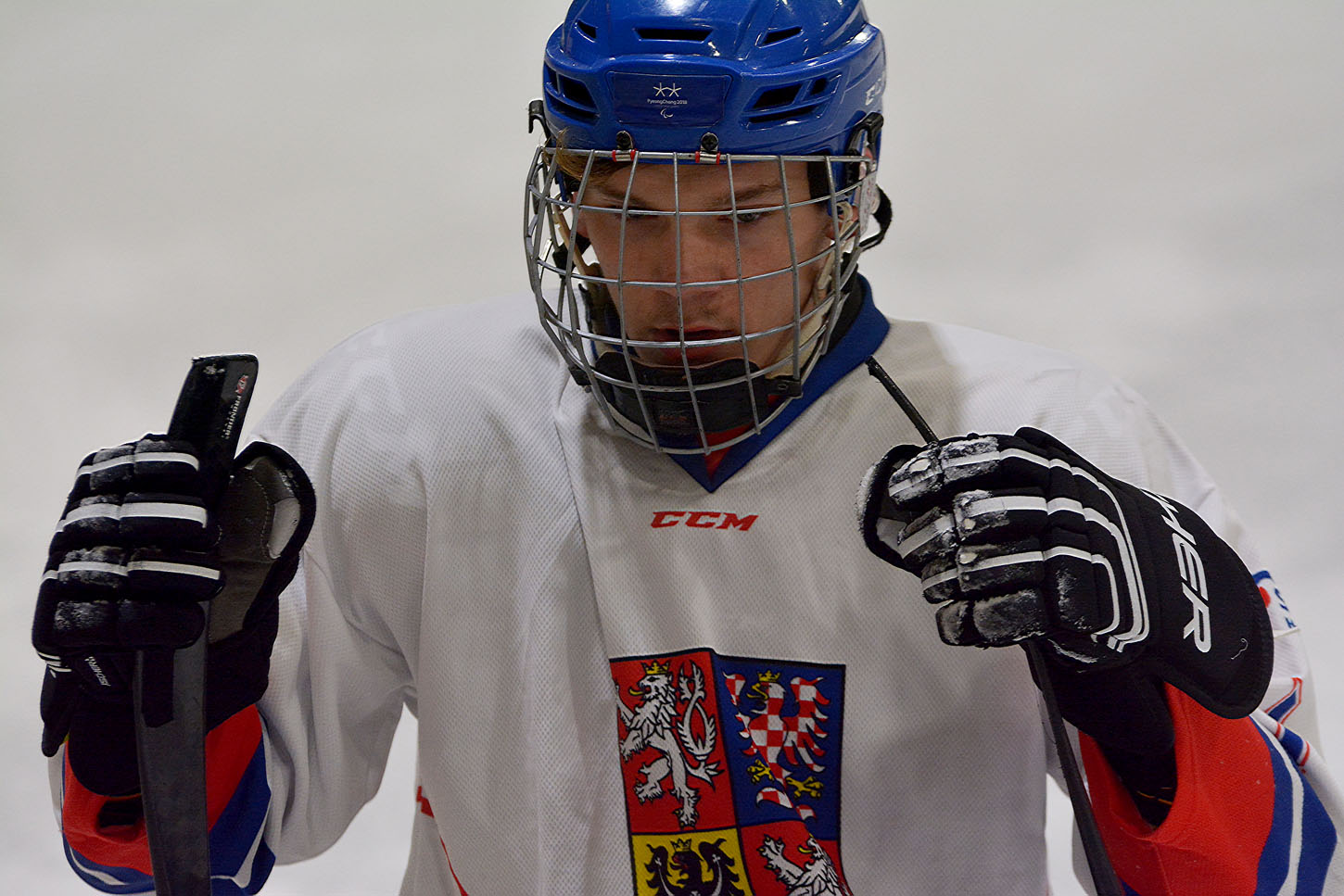 Sledge hokej Česká republika Japonsko foto, CPA Zlatka Vostrá