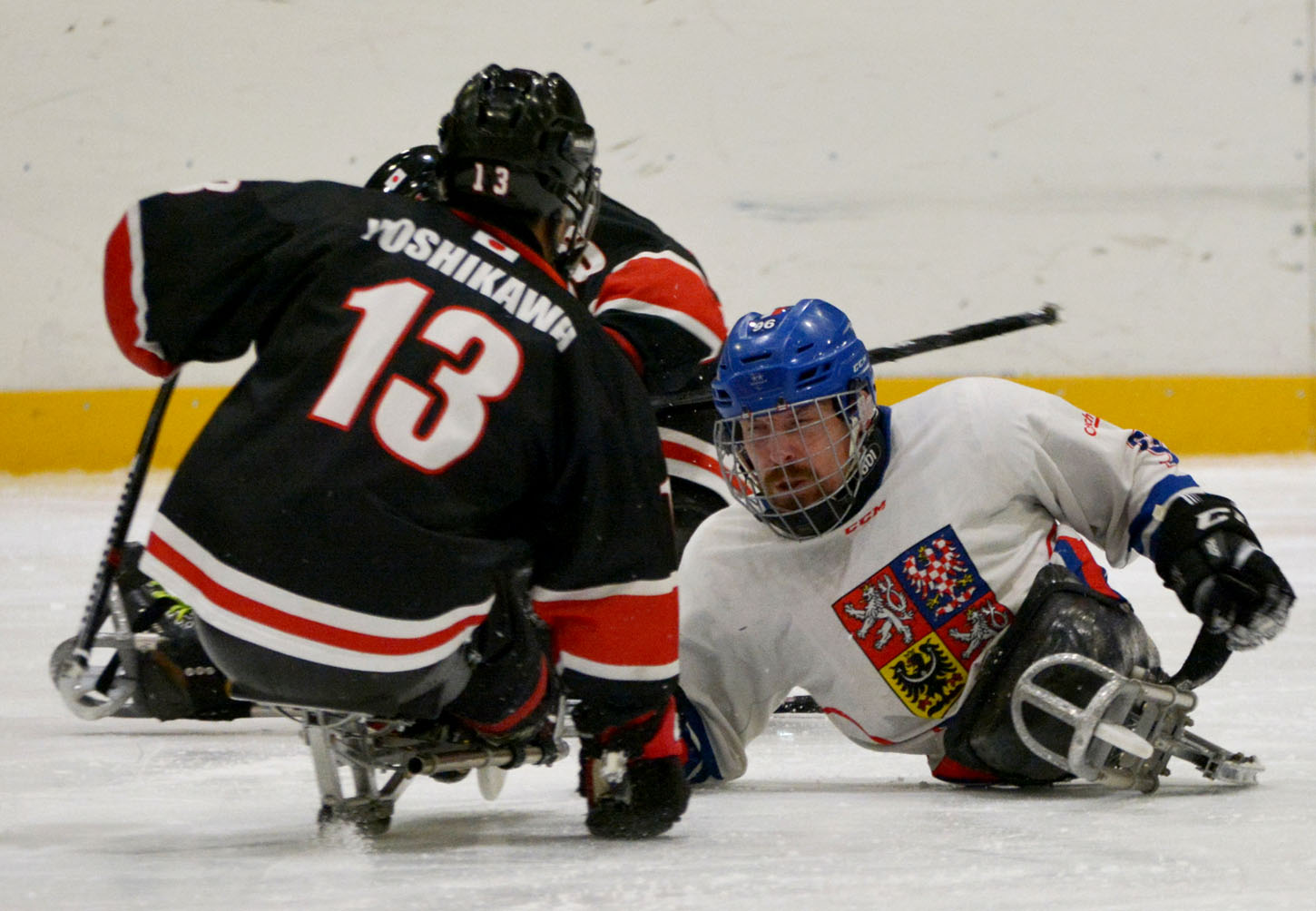 Sledge hokej Česká republika Japonsko foto, CPA Zlatka Vostrá