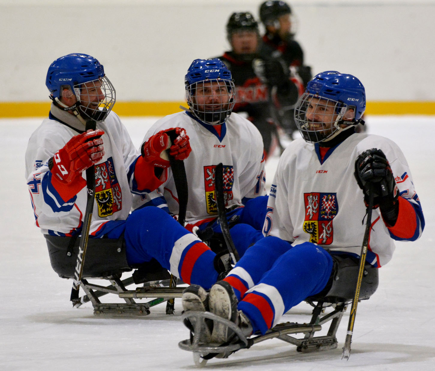 Sledge hokej Česká republika Japonsko foto, CPA Zlatka Vostrá